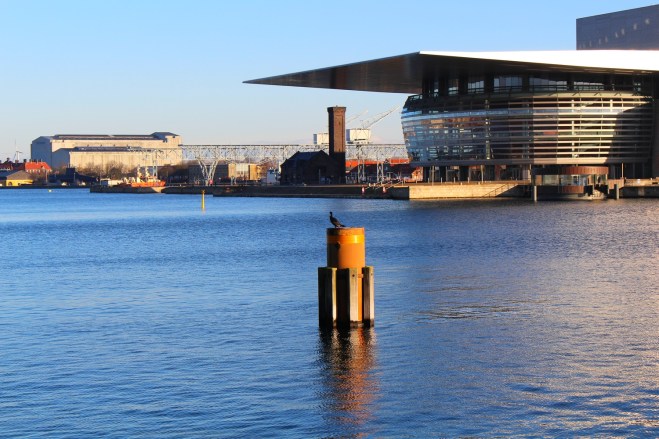Port de Copenhague