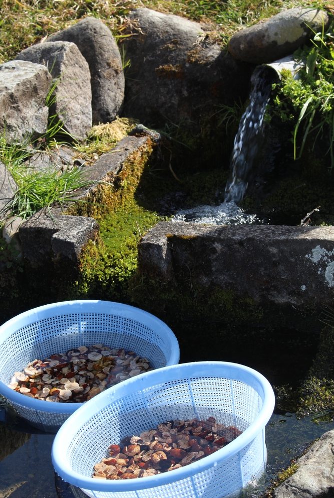 Cette image a un attribut alt vide ; le nom du fichier est mon-voisin-totoro-3.jpg