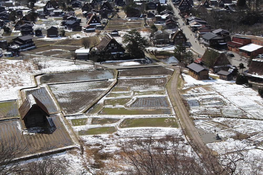 Cette image a un attribut alt vide ; le nom du fichier est mon-voisin-totoro.jpg